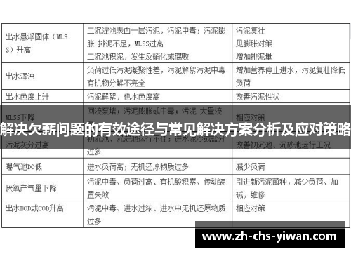 解决欠薪问题的有效途径与常见解决方案分析及应对策略