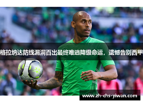 格拉纳达防线漏洞百出最终难逃降级命运，遗憾告别西甲